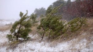 Важная информация